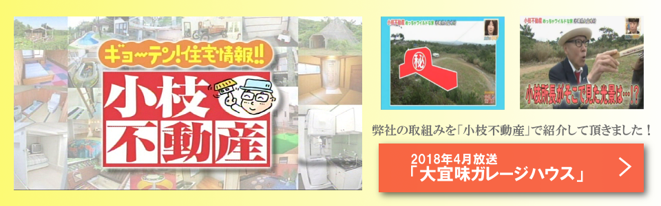 小枝不動産大宜味